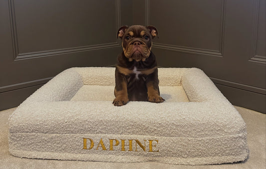 Personalised Oatmeal Traditional Luxury Orthopaedic Personalised Bouclé Dog Bed